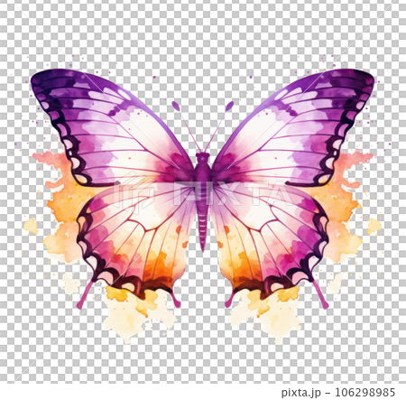 Watercolor butterfly isolated 106298985