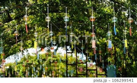 風に揺れる風鈴と短冊に清涼感あり 106299541