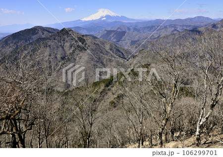 丹沢の鍋割山より望む　富士山と檜岳山稜と道志山塊 106299701
