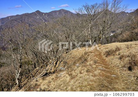 丹沢の鍋割山の道より望む西丹沢の山並 丹沢の鍋割山の道より望む西丹沢の山並 106299703