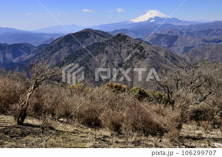 丹沢の鍋割山より望む　富士山と檜岳山稜 106299707