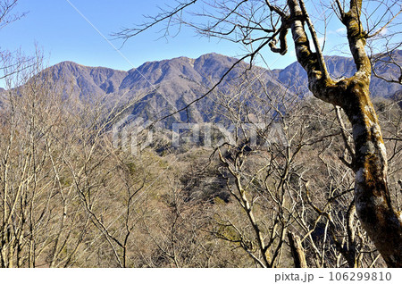 丹沢の雨山より檜岳山稜の森から眺める丹沢主脈の山容 106299810