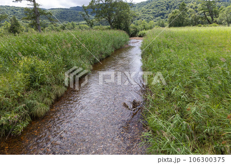 尾瀬ヶ原　原の川上川橋付近 106300375