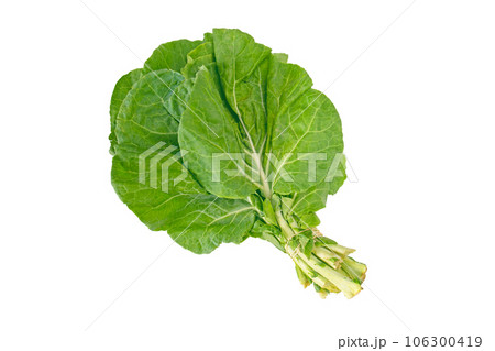 Bundle of collard leaves isolated on white 106300419