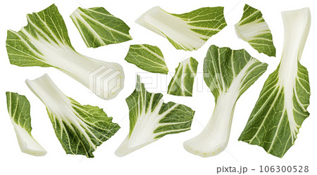 Bok Choy or Pak Choi leaves isolated on white background 106300528