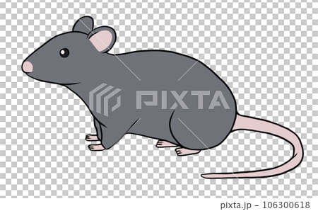 mouse_black 106300618