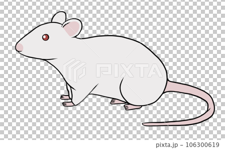mouse_white 106300619