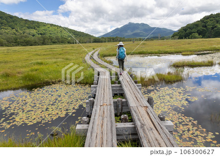 尾瀬ヶ原を歩く女性ハイカー 尾瀬ヶ原を歩く女性ハイカー 106300627