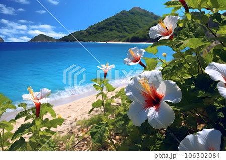 エメラルドグリーンの海とハイビスカス　AI生成画像 106302084