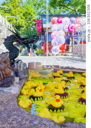 別小江神社の花手水（ひまわりとアヒルの玩具）・名古屋市 106302306