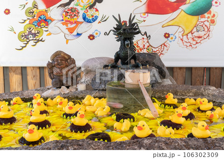 別小江神社の花手水（ひまわりとアヒルの玩具）・名古屋市 106302309