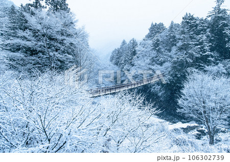 東京 秋川渓谷の雪景色　～石舟橋～ 106302739