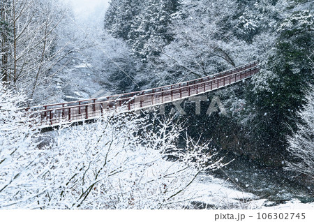 東京 秋川渓谷の雪景色 ~石舟橋~ 東京 秋川渓谷の雪景色 ~石舟橋~ 106302745
