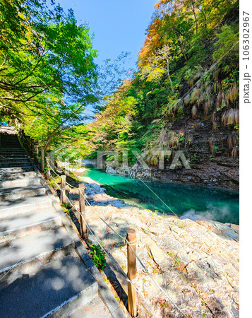 秋の小安峡 106302967