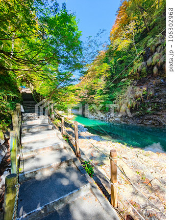 秋の小安峡 106302968