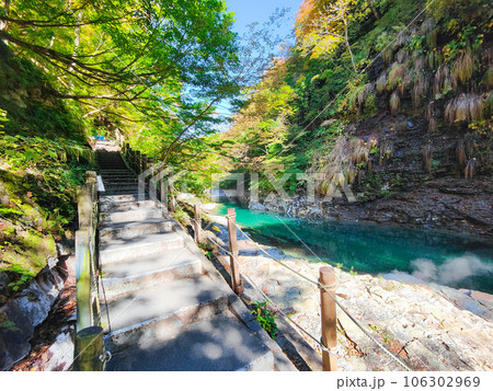 秋の小安峡 秋の小安峡 106302969