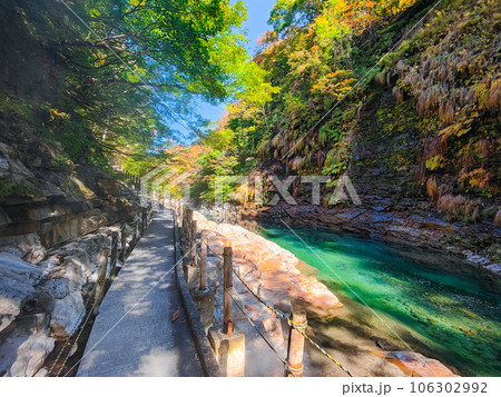 秋の小安峡 106302992