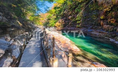 秋の小安峡 106302993