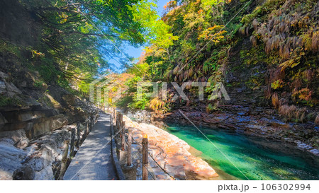 秋の小安峡 106302994