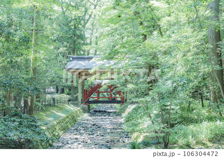 新潟　弥彦神社 106304472