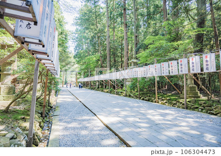 新潟　弥彦神社の参道 106304473