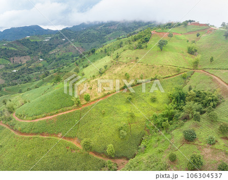 The biggest cause of forest loss is agricultural deforestation ,environmental damage in Southeast Asia , global warming and environment. The biggest cause of forest loss is agricultural deforestation ,environmental damage in Southeast Asia , global warming and environment. 106304537