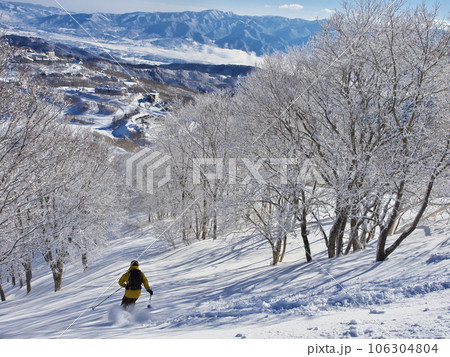冬の斑尾高原スキー場　リバーラインのツリーランコースを滑るスキーヤー 106304804