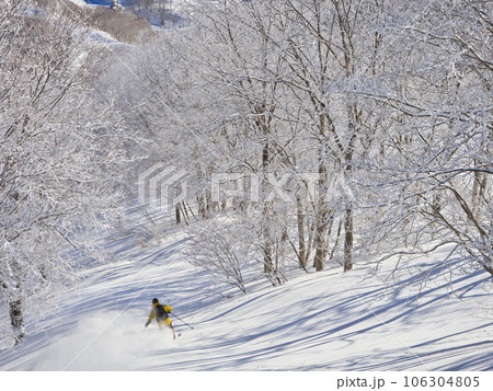 冬の斑尾高原スキー場　リバーラインのツリーランコースを滑るスキーヤー 106304805