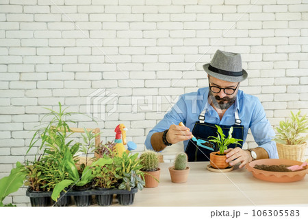 A senior man or grandfather with a mustache enjoys gardening for the tree at home after retirement A senior man or grandfather with a mustache enjoys gardening for the tree at home after retirement 106305583