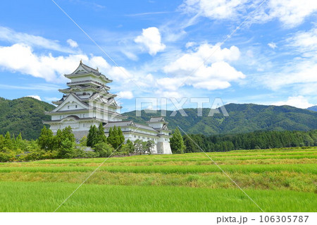 勝山城とひまわり畑 106305787
