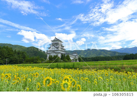 勝山城とひまわり畑 106305815
