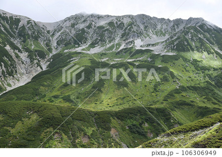 室堂平の風景　立山　立山黒部アルペンルート　レジャー　旅行　観光地　景勝地　絶景　夏　室堂　自然 106306949