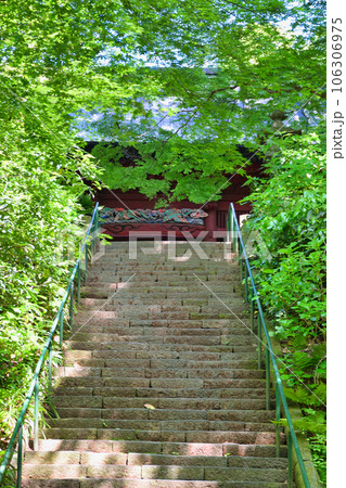 鎌倉 妙本寺 新緑の二天門(神奈川県鎌倉市大町) 鎌倉 妙本寺 新緑の二天門(神奈川県鎌倉市大町) 106306975