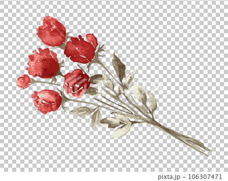 水彩畫幹玫瑰花插畫素材 106307471