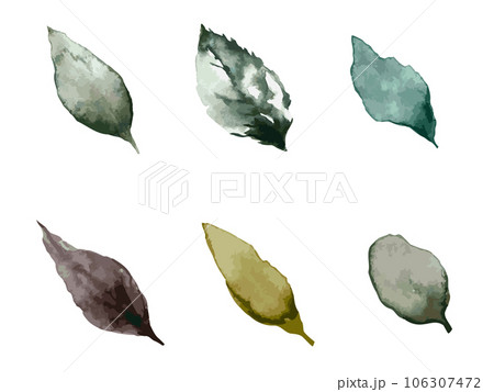 水彩で描いた秋冬イメージの葉っぱのイラストセット 106307472
