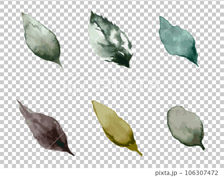 Illustration set of leaves in autumn and winter image drawn by watercolor 106307472