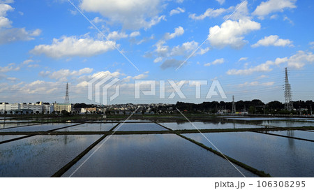 海老名の田園風景・・田植えの頃 106308295