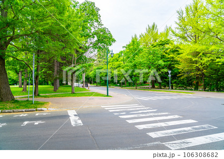 【北海道】豊かな自然に恵まれた北海道大学のキャンパス 106308682