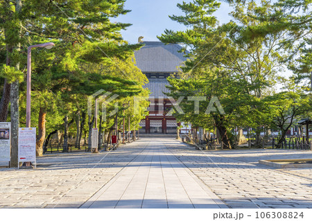 奈良 東大寺南大門から中門までの参道 奈良 東大寺南大門から中門までの参道 106308824