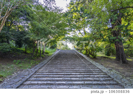 東大寺大仏殿横の猫段と呼ばれる階段(鐘楼へ向かう階段) 東大寺大仏殿横の猫段と呼ばれる階段(鐘楼へ向かう階段) 106308836