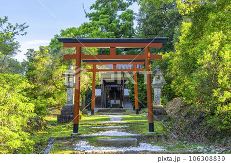 東大寺　猫段を登ったところに祀られている辛国神社 106308839