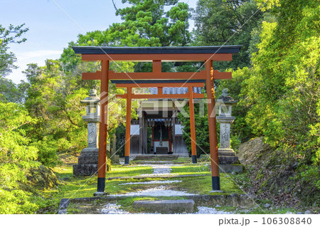 東大寺　猫段を登ったところに祀られている辛国神社 106308840