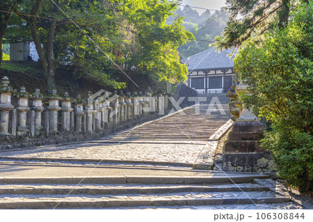 奈良　東大寺　石灯籠が並ぶ二月堂・三月堂への参道 106308844