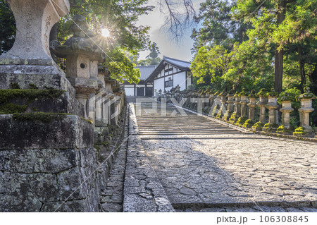 奈良　東大寺　石灯籠が並ぶ二月堂・三月堂への参道 106308845