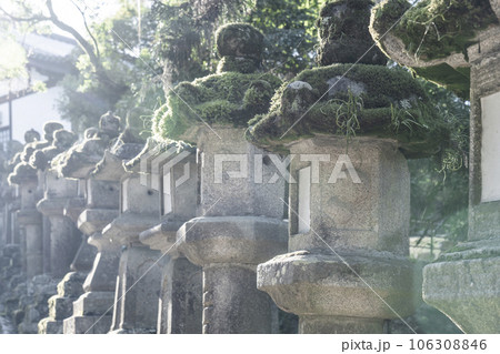奈良　東大寺　石灯籠が並ぶ二月堂・三月堂への参道 106308846