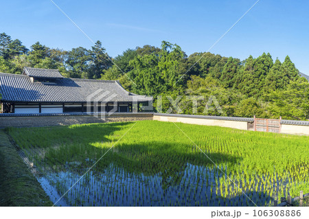 奈良 東大寺 大湯屋と水田 奈良 東大寺 大湯屋と水田 106308886