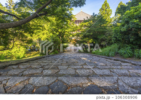 東大寺大仏殿横の猫段と呼ばれる階段（鐘楼へ向かう階段） 106308906