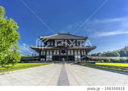 青空に映える東大寺大仏殿（金堂） 106308918