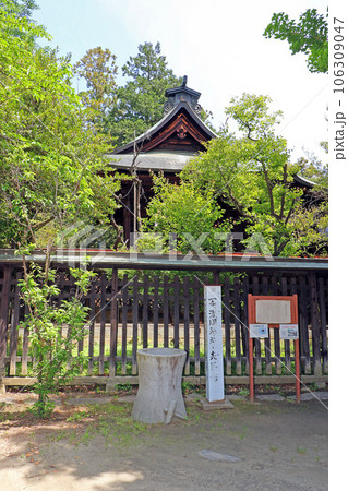 浅間神社(笛吹) 浅間神社(笛吹) 106309047