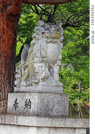 山梨県護国神社(甲府) 山梨県護国神社(甲府) 106309362